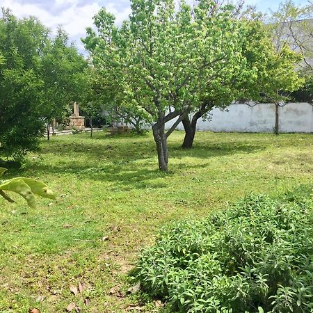 Salento Appartamenti Casalabate Exteriér fotografie