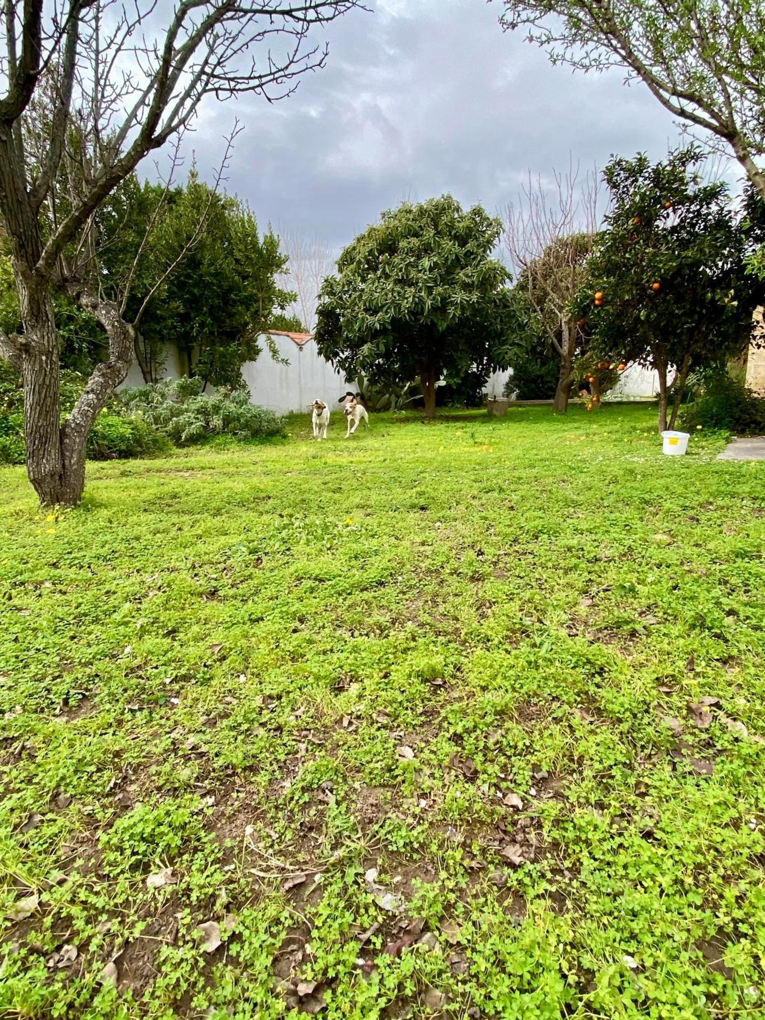 Salento Appartamenti Casalabate Exteriér fotografie