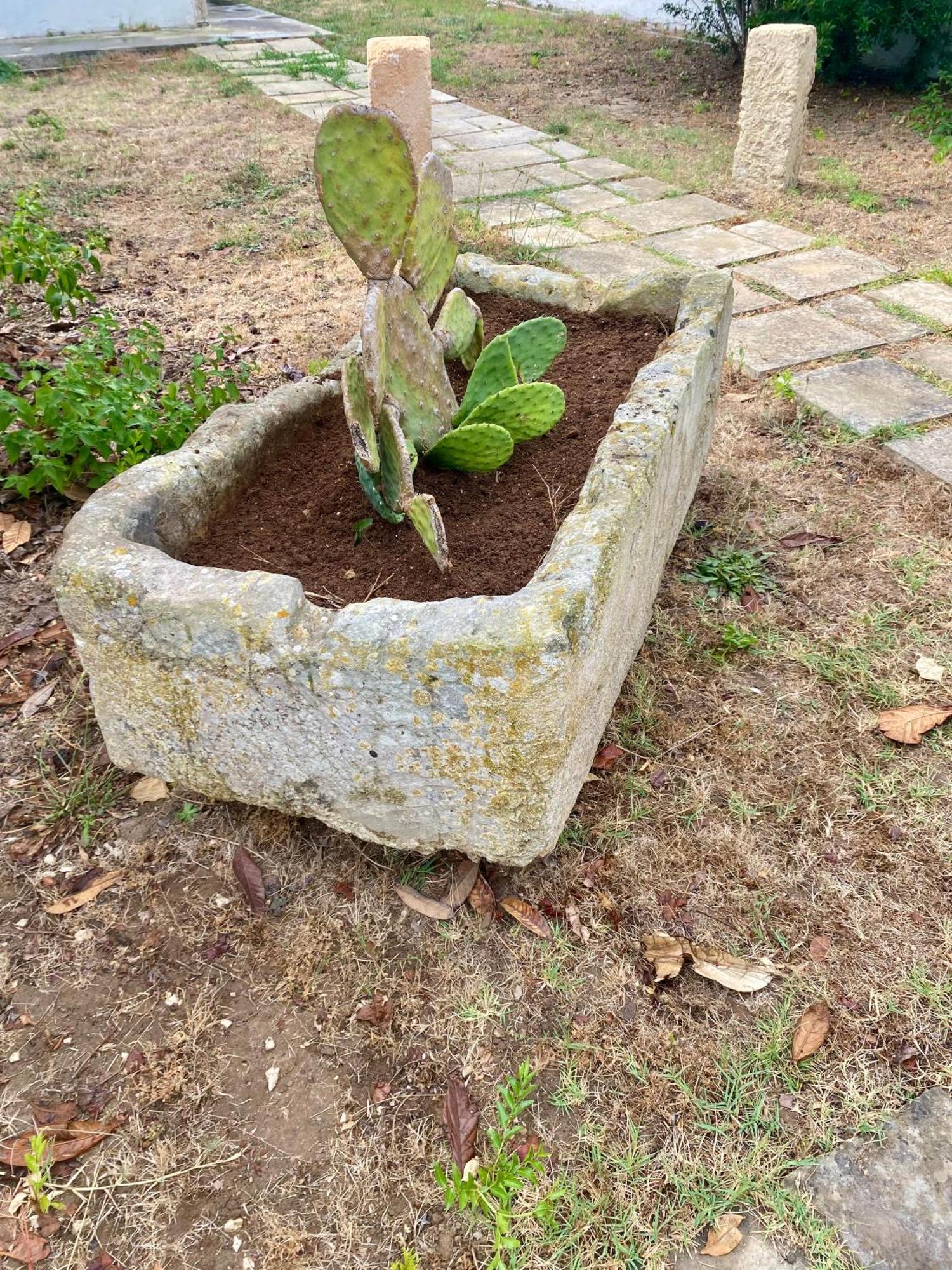Salento Appartamenti Casalabate Exteriér fotografie